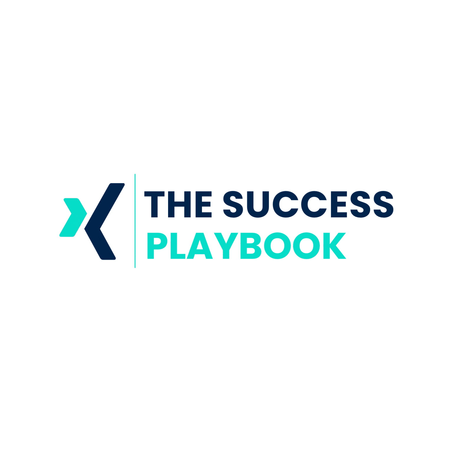 The Success Playbook